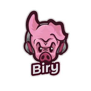DS_Biry